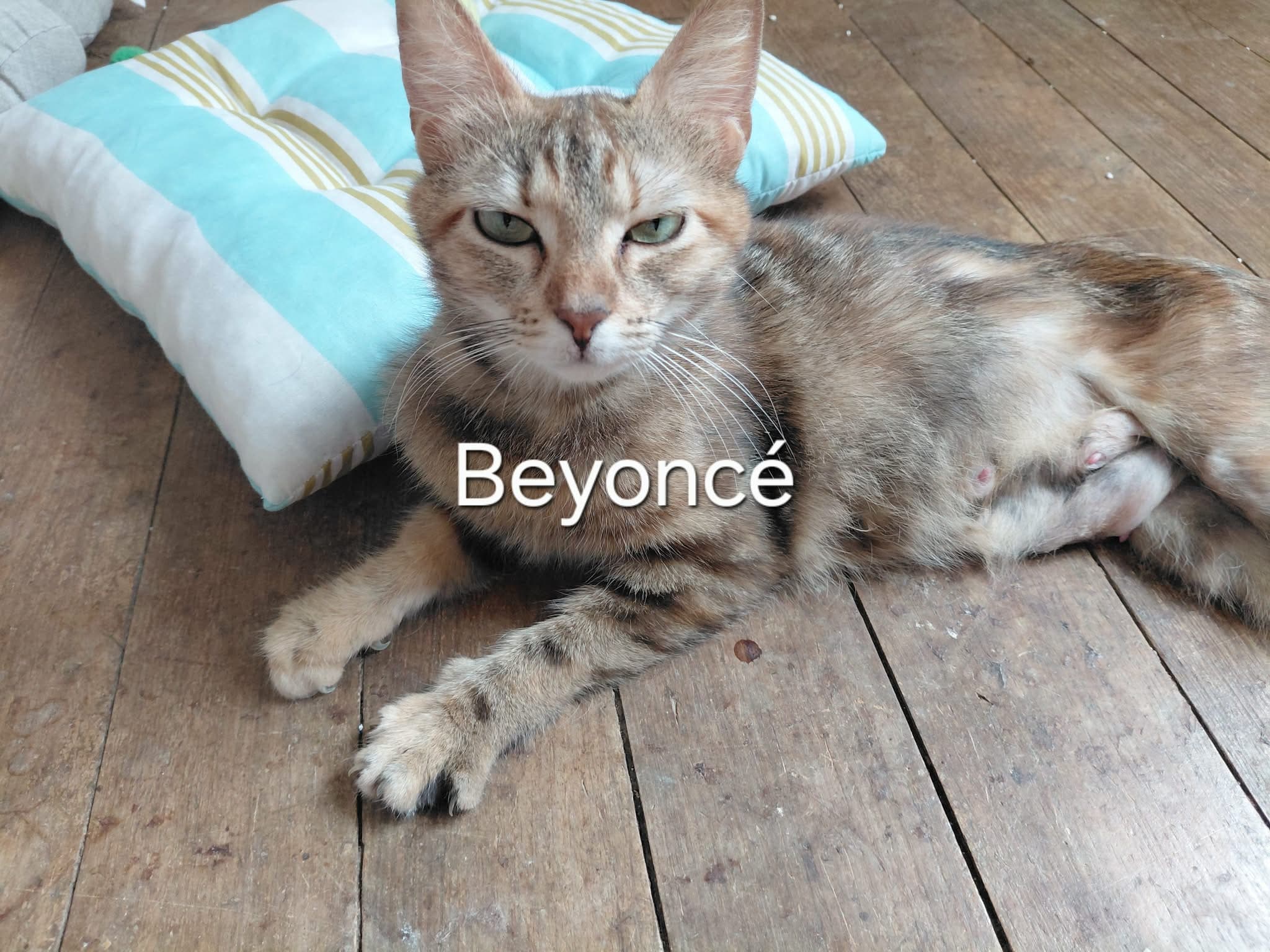Photo de Beyoncé
